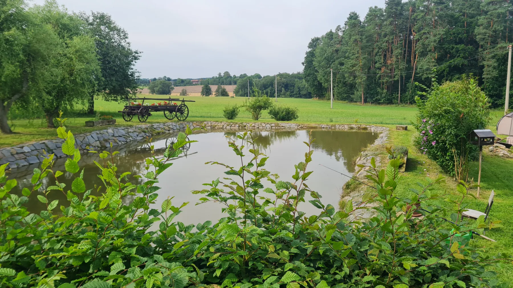 Klidná příroda v okolí ubytování — rybník a louky