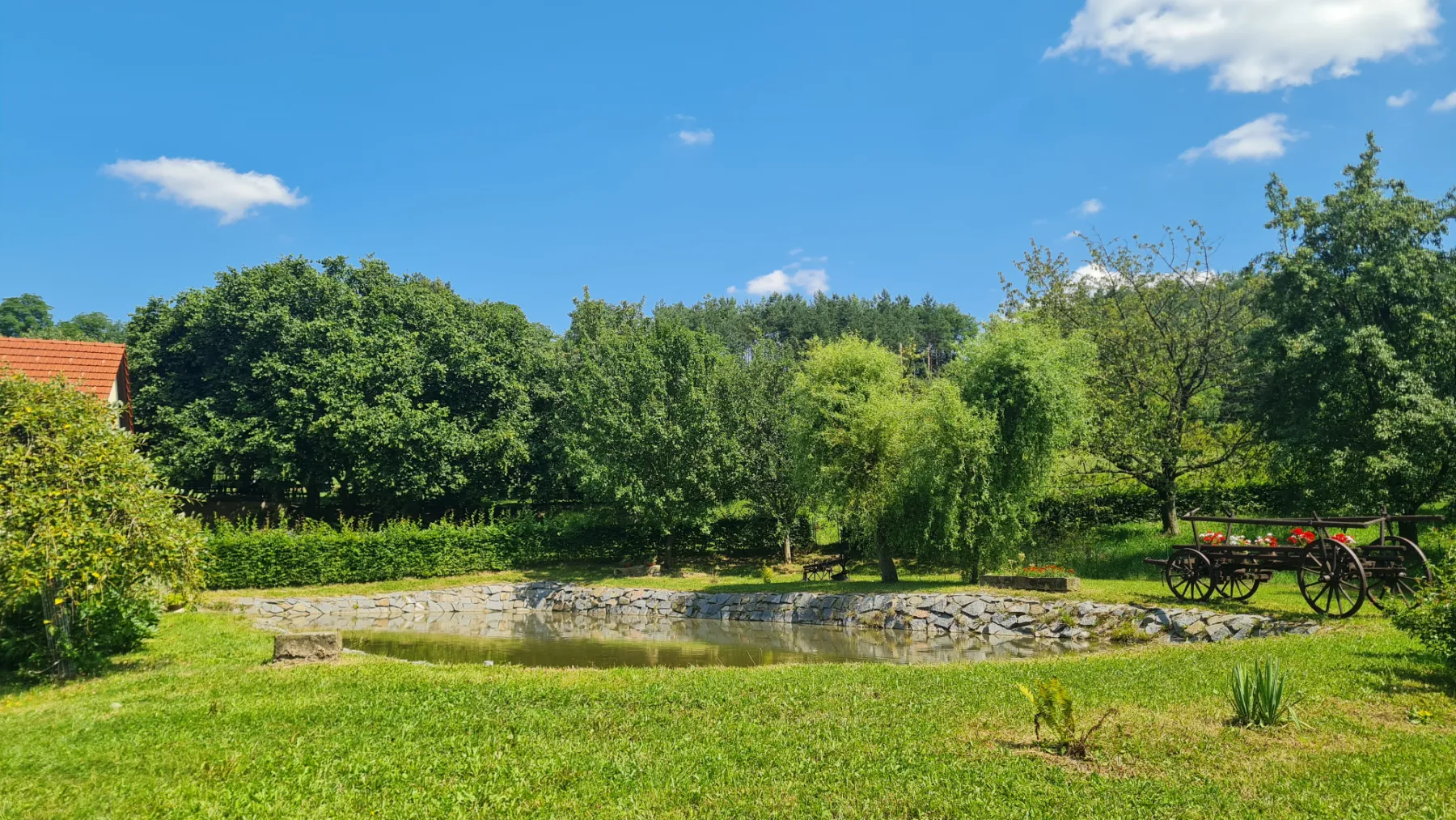 Rybník se starým koňským vozem